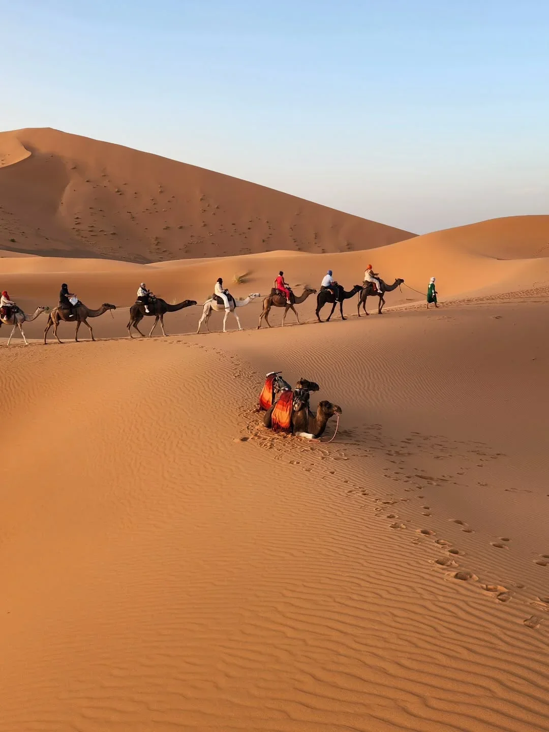 Camel trek