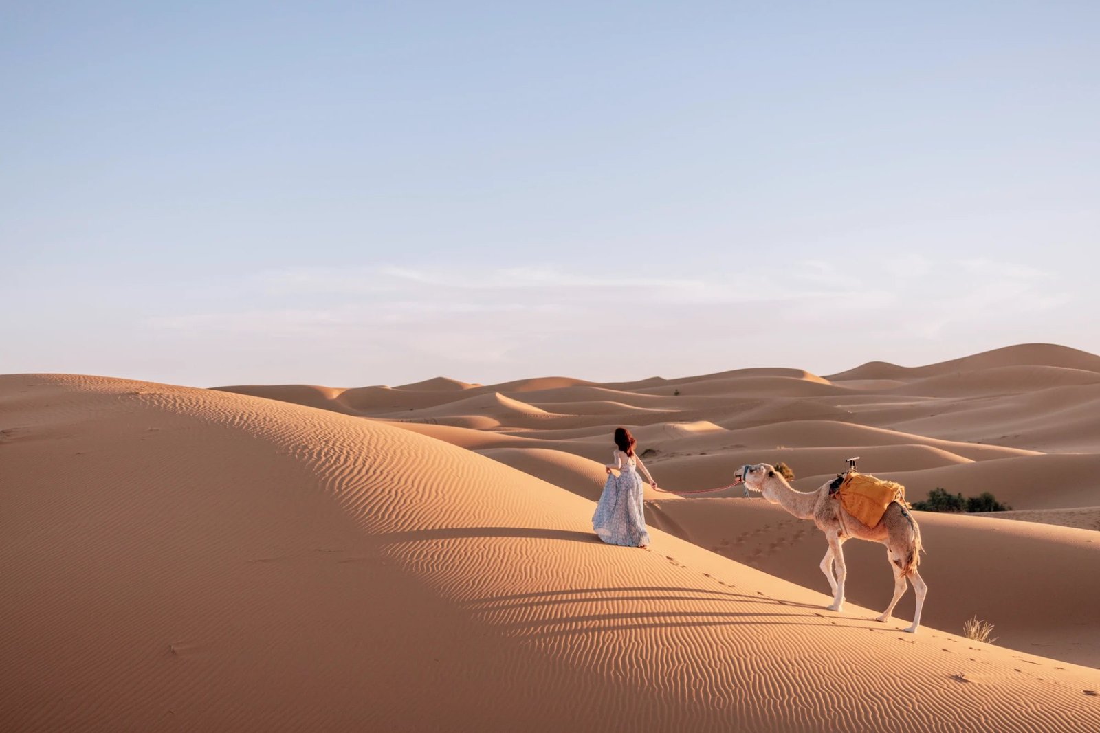 Camel caravan crossing the Sahara dunes at Merzouga, Morocco