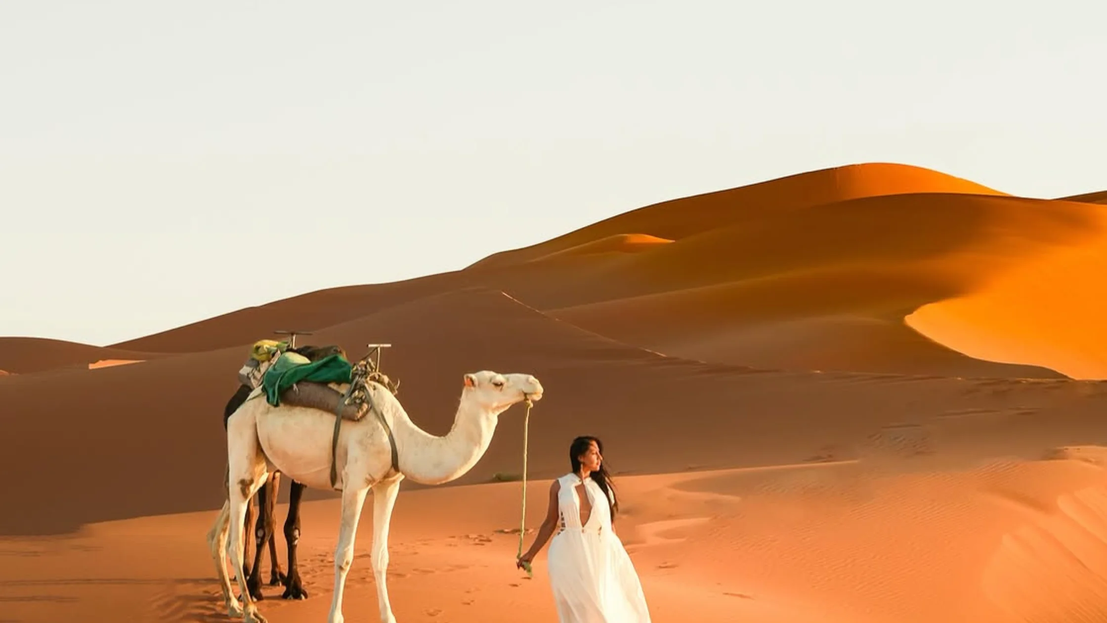 4-Day Morocco Student Tour from Marrakech to Merzouga