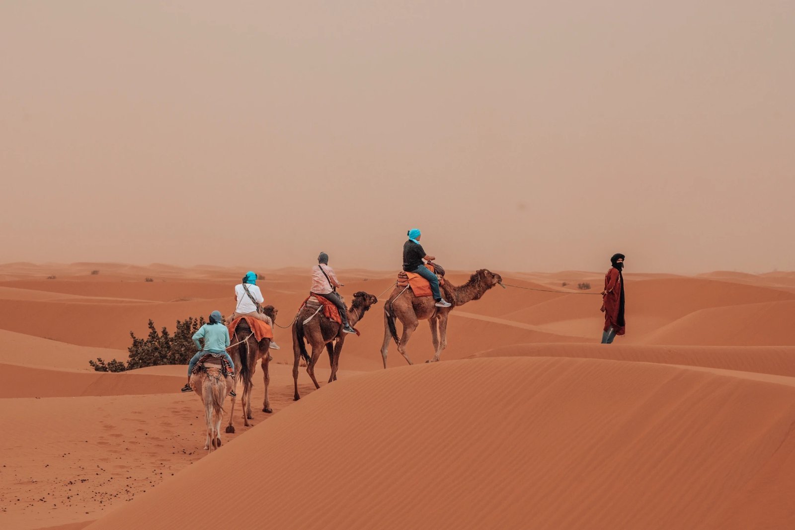 Special 5-Day Morocco Student Desert Tour from Marrakech
