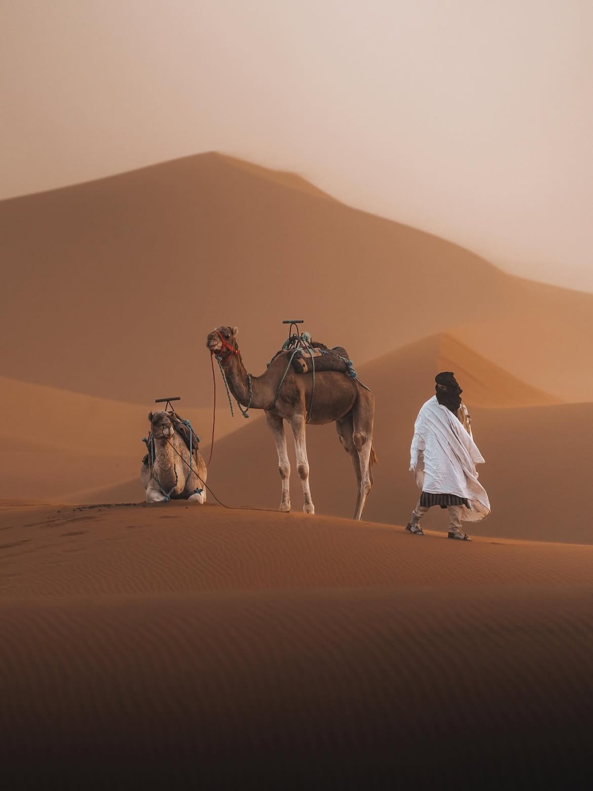 How to Plan a 2-Week Trip to Morocco