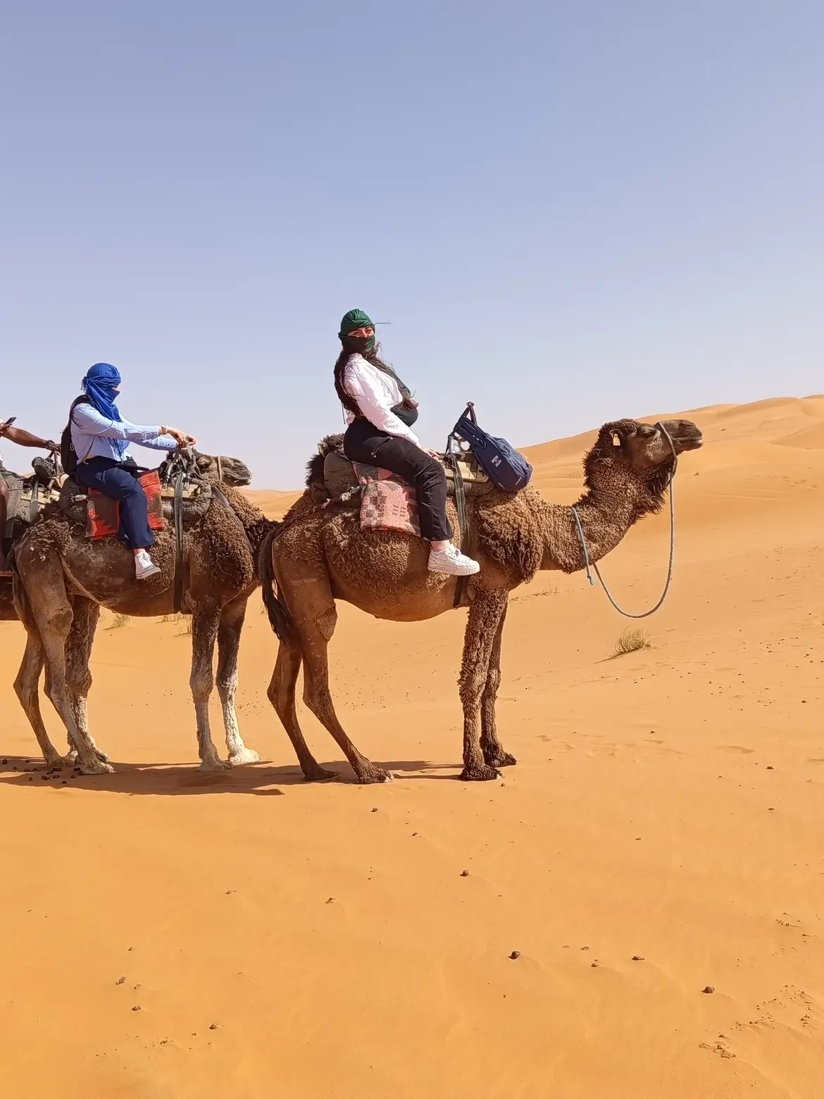 9-Day Morocco Yoga Retreat in the Sahara Desert